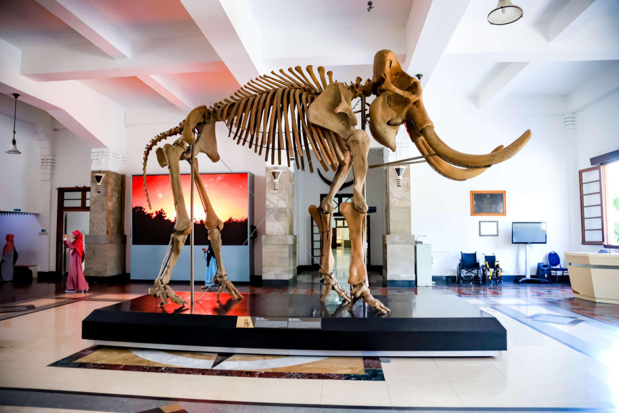 museum-geologi-bandung-profile1695291223