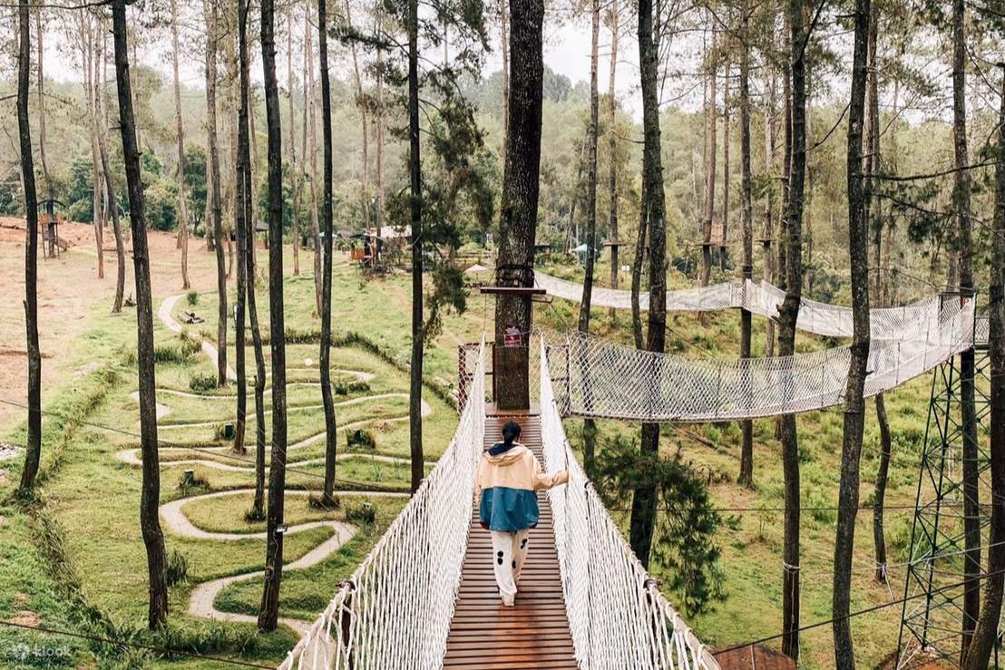 TiketMasukOrchidForestCikoleLembangBandung