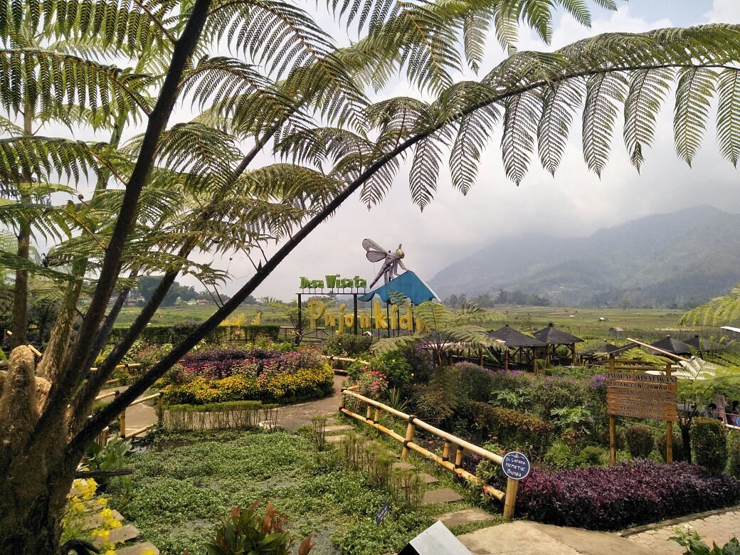 cafe sawah malang