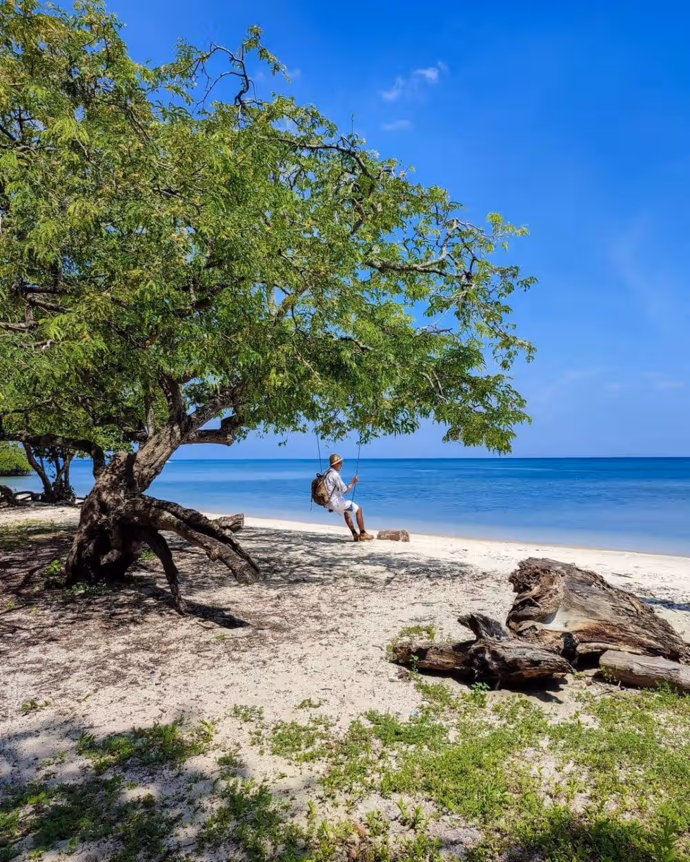 Pantai Bama Baluran pasir putih air jernih hutan mangrove
