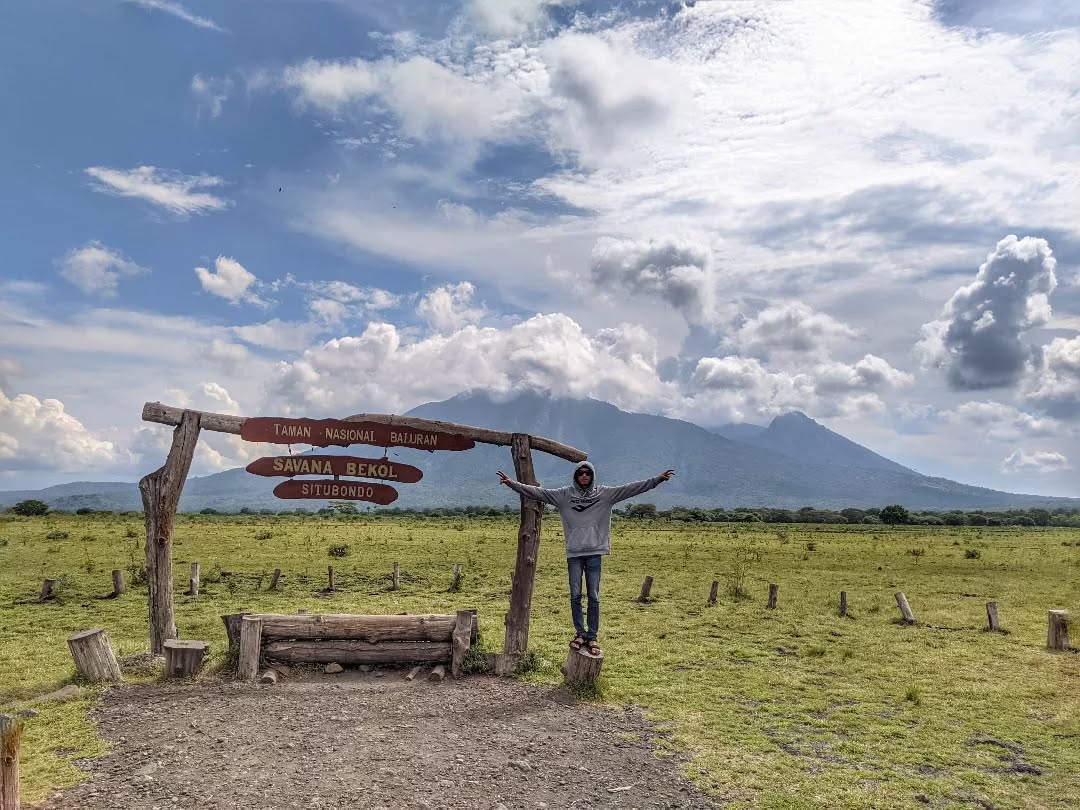 Savana Bekol Taman Nasional Baluran dengan pohon akasia khas Africa van Java