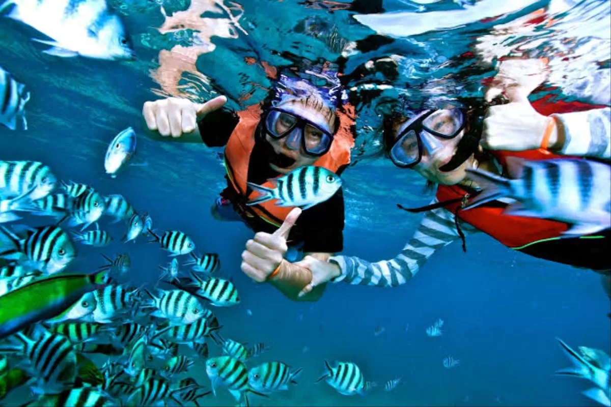 Bawah laut Karimunjawa — terumbu karang hidup dan ikan hias berwarna-warni di perairan jernih