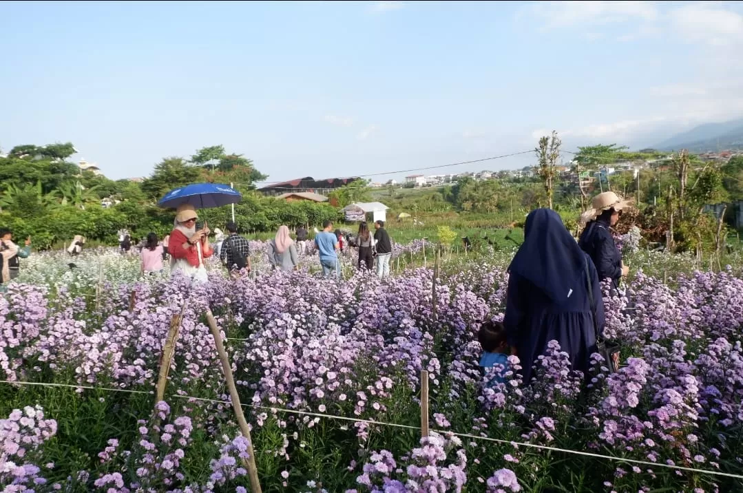 taman bunga pikok