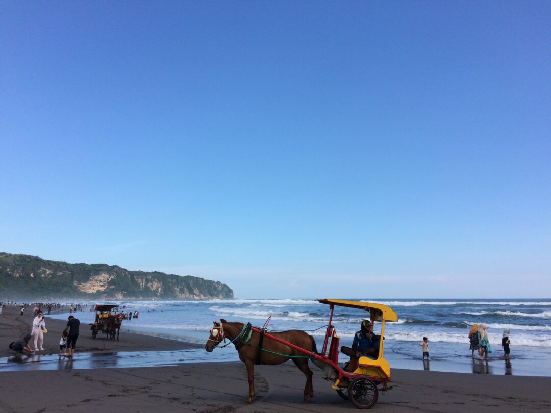 Andong-Pantai-Parangtritis-scaled