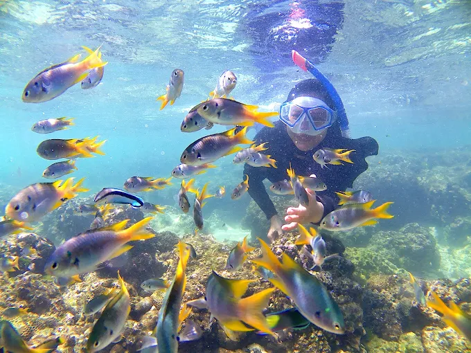 snorkeling jogja